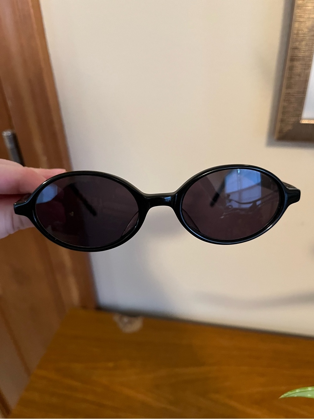 J. Crew Black Oval Sunglasses